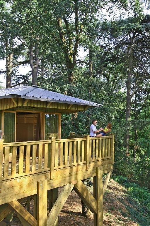 Albirondack Camping Lodge & Spa Rum bild