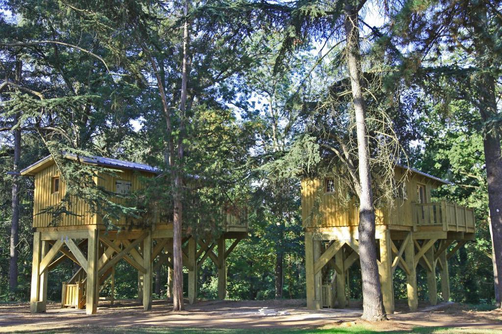 Albirondack Camping Lodge & Spa Rum bild