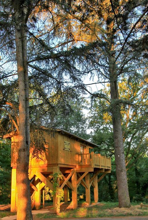 Albirondack Camping Lodge & Spa Rum bild