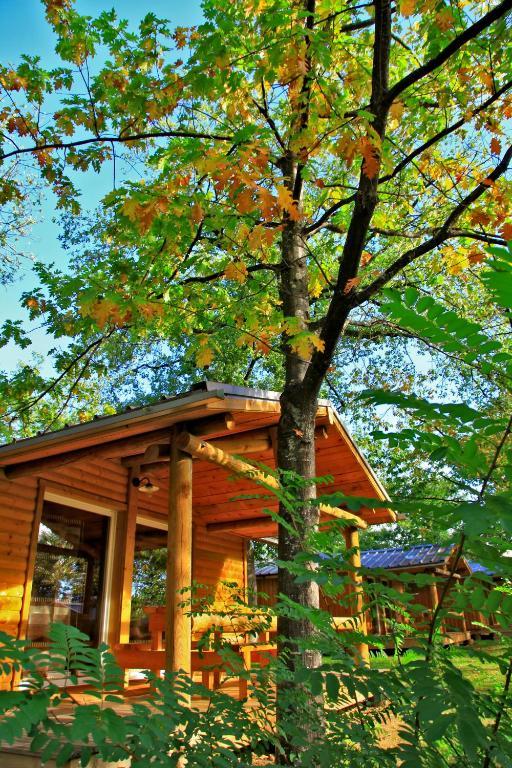 Albirondack Camping Lodge & Spa Rum bild